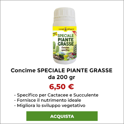 Concime Speciale Piante Grasse 250 gr