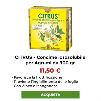 CITRUS - Concime idrosolubile per agrumi da 900 gr.