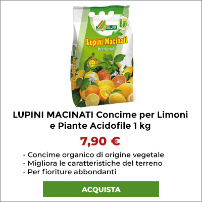 Lupini macinati. Per agrumi e acidofile.