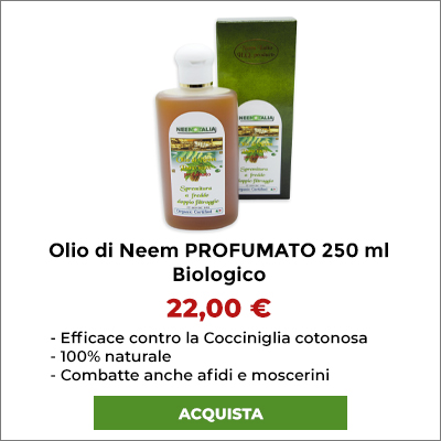 Olio di Neem Profumato confezione da 250 ml.