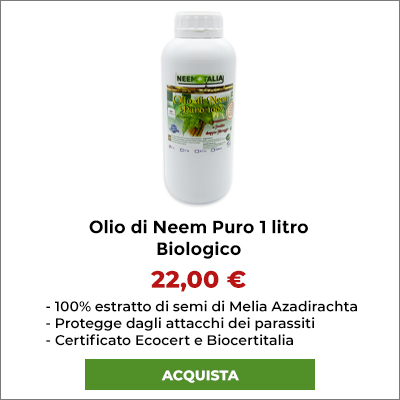 Olio di Neem Puro confezione da 1 litro. Massima convenienza