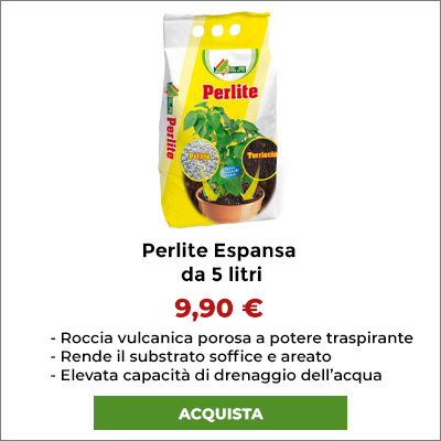 Perlite espansa. Roccia vulcanica porosa a potere traspirante.