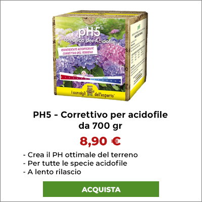 Concime Correttivo per Acidofile