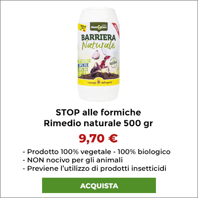 Stop alle Formiche Rimedio Naturale da 500 grammi.