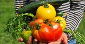 Preparare l'orto in primavera