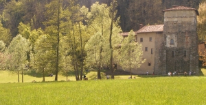 Una gita fuori porta al Monastero di Torba, tra boschi colorati e misteri millenari