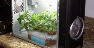 Grow Box con un Pc - Ecco come fare