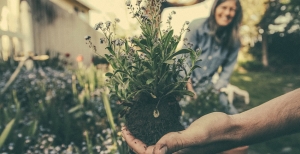 Corsi per imparare ad amare il proprio giardino