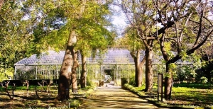 Perdersi nell’ombra dell’Orto Botanico di Palermo