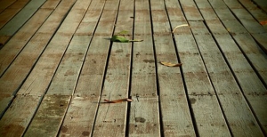 Come scegliere una pavimentazione in legno per esterni