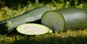 Guida completa alla coltivazione della zucchina in orto