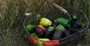 La rotazione degli ortaggi