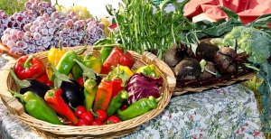 Come coltivare un orto in casa, sul balcone o sul terrazzo?