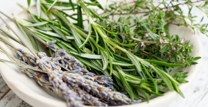 Piante aromatiche: come coltivarle e curarle sul proprio balcone