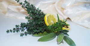 Erbe aromatiche: guida alla coltivazione