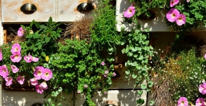 Una nuova moda: l'orto sul balcone