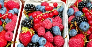 Frutti di bosco: le varietà più utilizzate