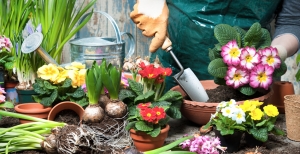 Tre buoni motivi per prendersi cura di piante o giardino