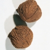 Juglans NIGRA dettaglio frutto