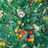 Arbutus UNEDO dettaglio fiori e frutti