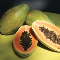 Papaya