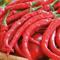 Peperoncino Cayenna