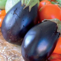 Melanzana ovale nera - Solanum melongena
