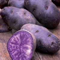 Patata viola - Solanum tuberosum