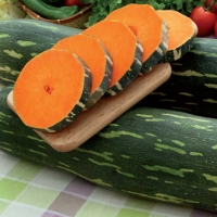 Zucca lunga di Napoli - Cucurbita