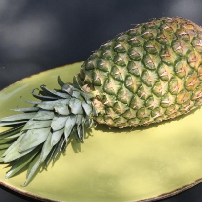 Ananas