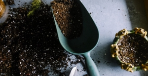 Lezioni di giardinaggio presso gli splendidi giardini della Landriana