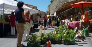 XIX Fiera regionale delle Erbe officinali ed aromatiche 'Non solo erbe'