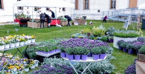 III Edizione di 'Nel Giardino del Doge Manin': mostra floreale di piante nel parco della villa