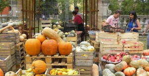 Edizione autunnale di Ortocolto, la festa dei giardini, degli orti, dei frutti, della musica, dell'arte e del buon cibo