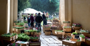 Giardinity, festa dedicata al mondo delle piante e dei giardini V edizione