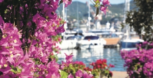 Yacht&Garden - Marina Genova - Mostra-Mercato di fiori e piante del giardino mediterraneo