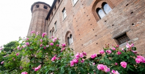 In giardino a Palazzo Madama - Corso di giardinaggio e conferenze botaniche