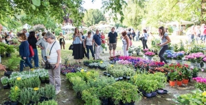 Menta e Rosmarino - 1/2 giugno 2019 - Villa Nigra (NO)