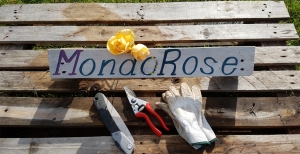 Corso di potatura delle Rose - 2020