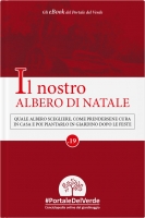 Il nostro ALBERO DI NATALE