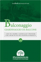 Balconaggio, il giardinaggio da balcone