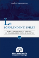 Le sorprendenti Spiree