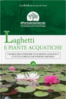 Laghetti e piante acquatiche