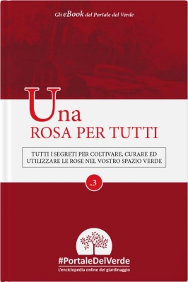 Una rosa per tutti