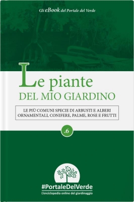 Le piante del mio giardino