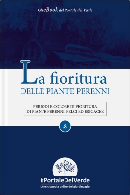 La fioritura delle piante perenni