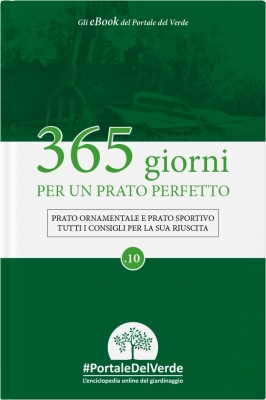 365 giorni per un prato perfetto