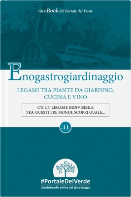 Enogastrogiardinaggio: legami tra piante da giardino, cucina e vino