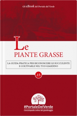 Le Piante Grasse