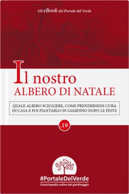 Il nostro ALBERO DI NATALE